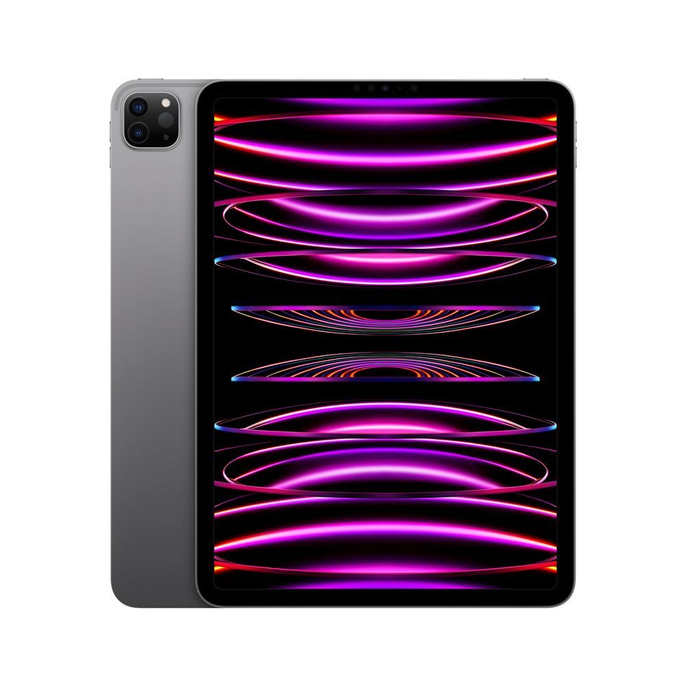 iPad Pro 11 pouces (4e génération)