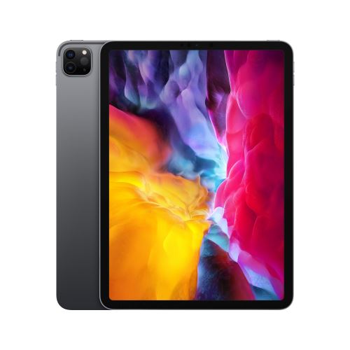 iPad Pro 11 pouces (2e génération)
