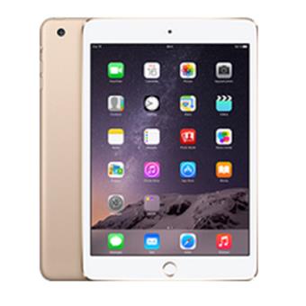 iPad mini 3