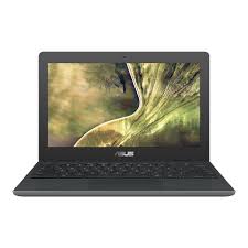 Chromebook C204